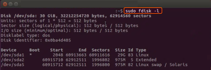 Snapshot of sudo fdisk -l command in Linux Terminal.