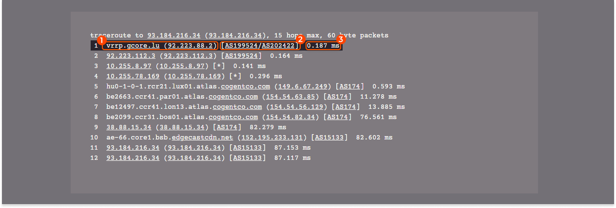 Traceroute command parts highlighted