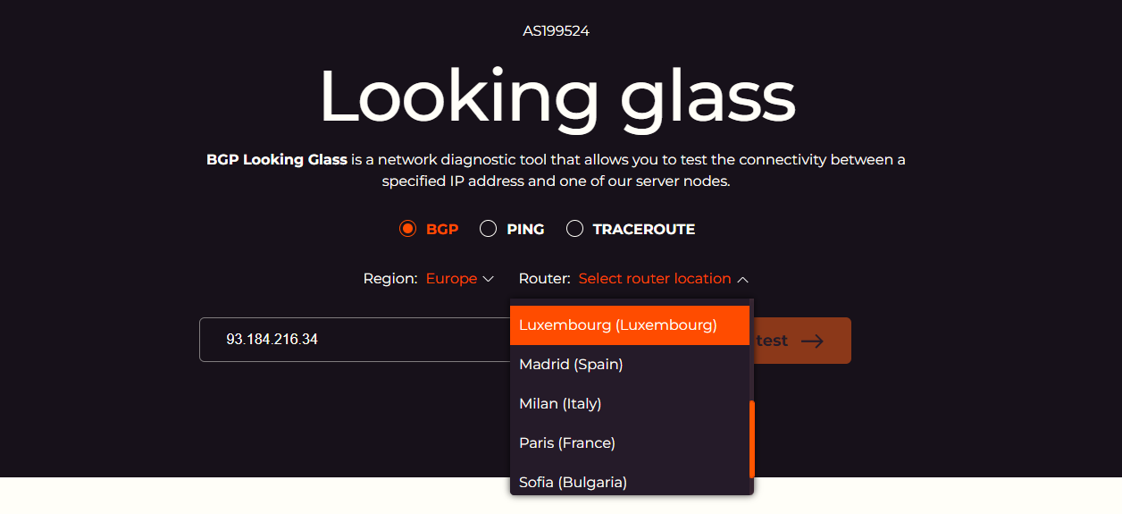 A screenshot of a Looking Glass with example data filled