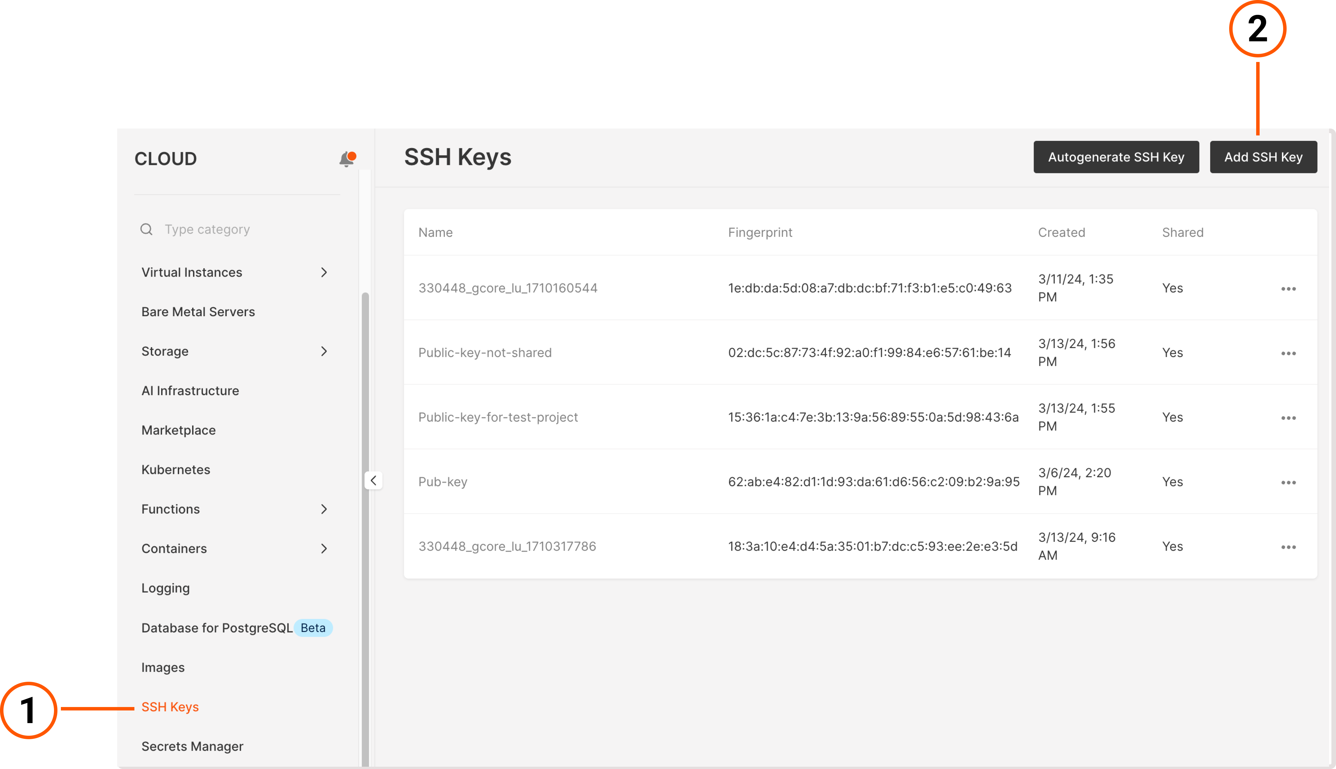 An SSH keys tab in the VNETWORK Customer Portal