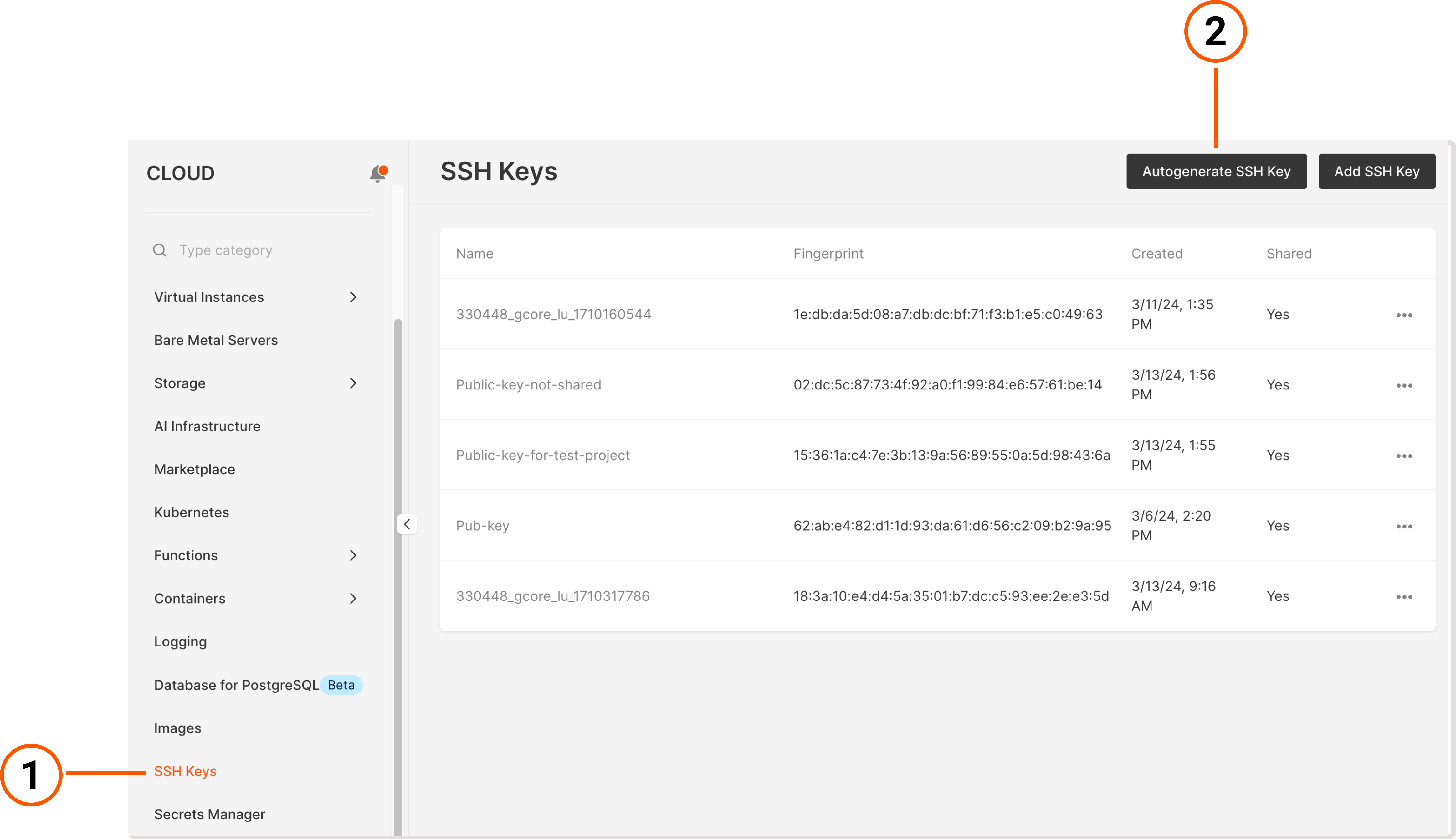 An SSH keys tab in the VNETWORK Customer Portal