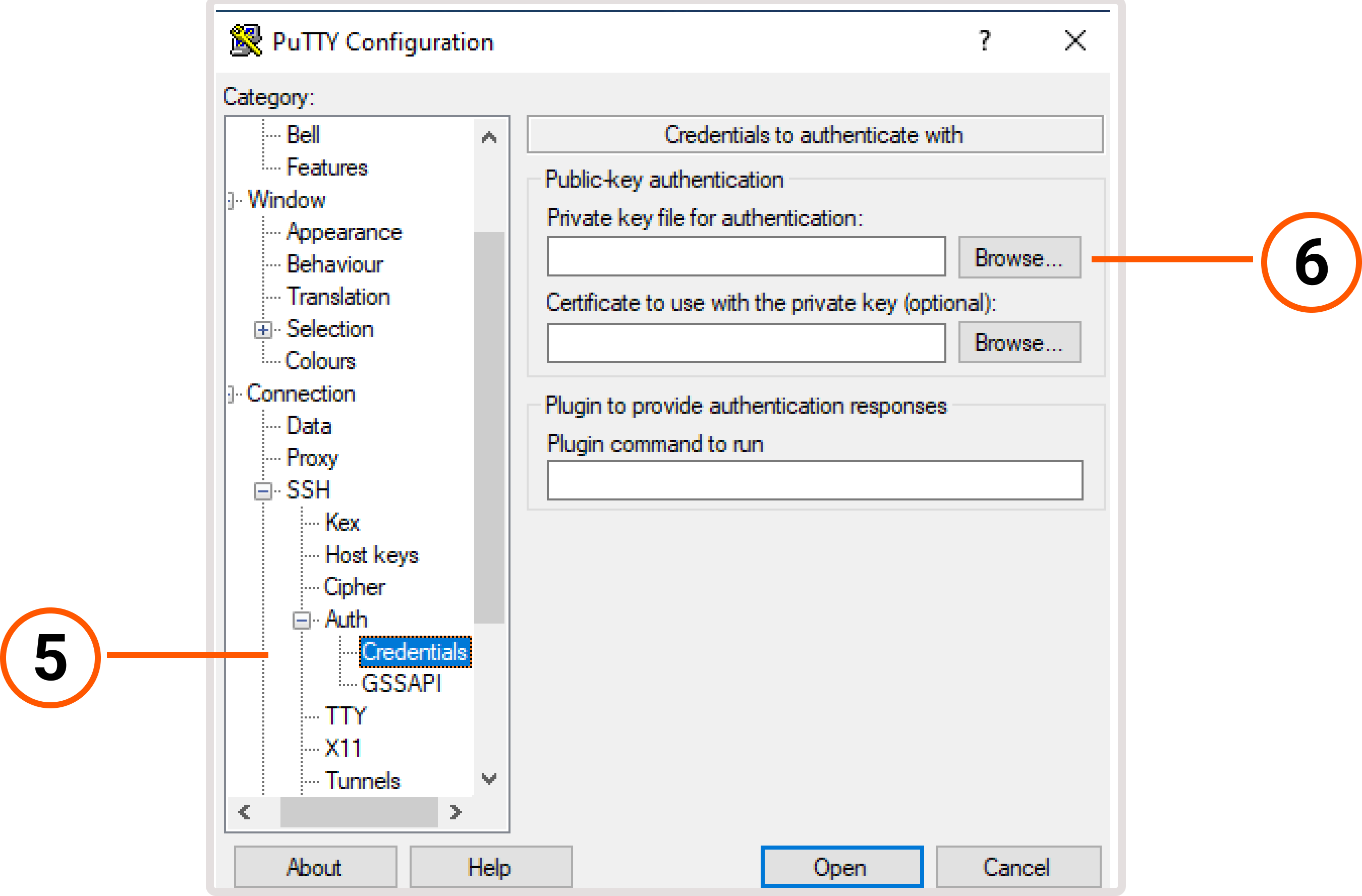 PuttyGen application with open Credentials tab