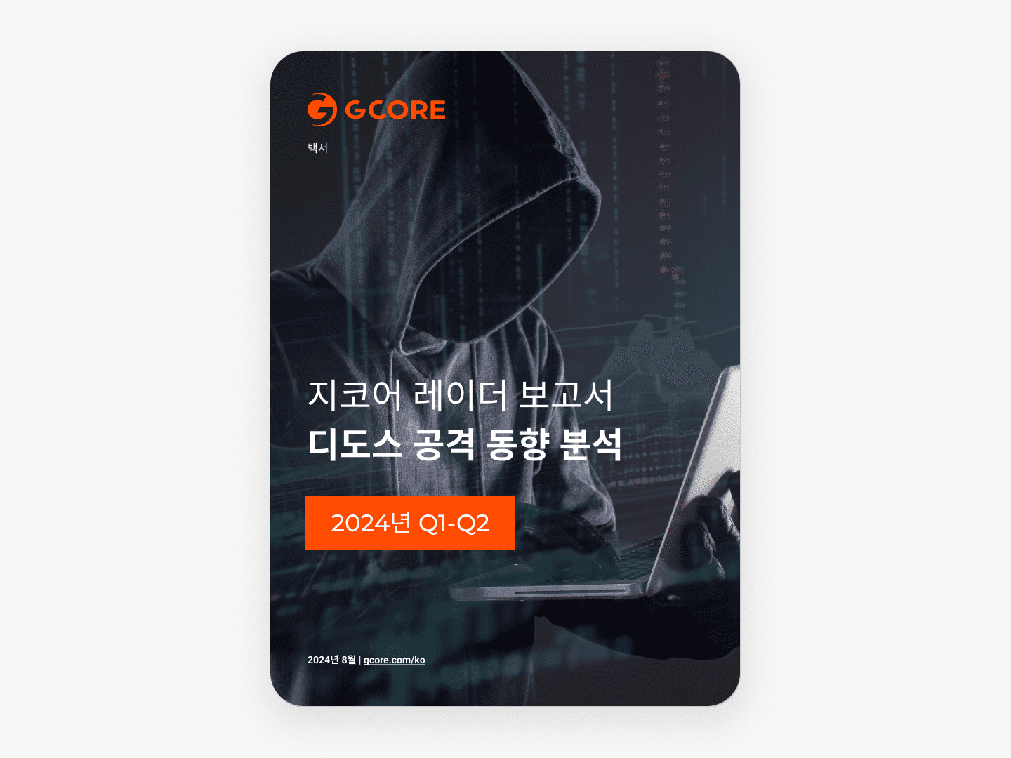 지코어 레이더 보고서: 디도스 공격 동향 분석 2024년 Q1-Q2